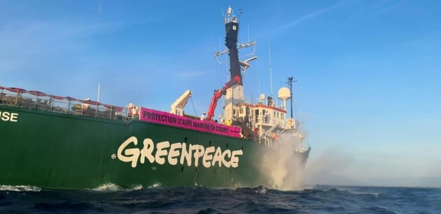 Le bateau de Greenpeace, qui devait rejoindre la trentaine de navires scientifiques d'ONG invités à Nice en marge du sommet de l'ONU sur les océans n'aura finalement pas le droit d'entrer dans le port