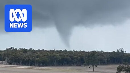 A twirl of cloud funnels up towards a big cloud band above a line of trees.