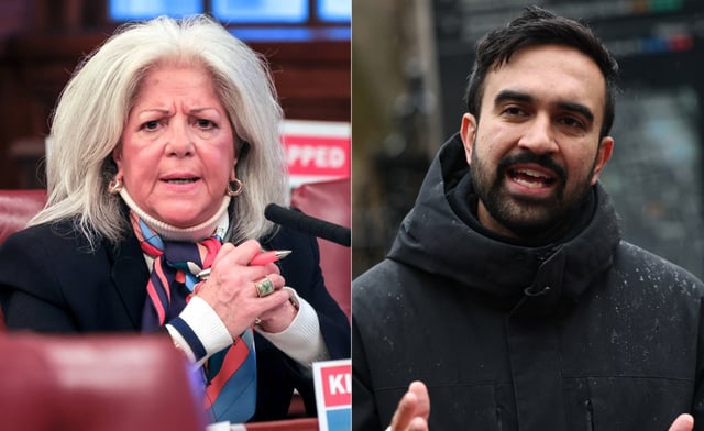 City Councilwoman Vickie Paladino and Zohran Mamdani. (Daily News and Getty)