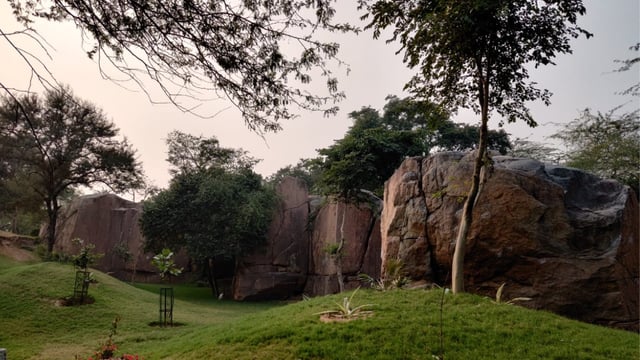 Delhi’s Sanjay Van (Credits: Offical DDA website)