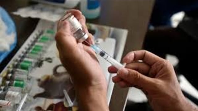The 82-year-old Covid patient was advised hospitalisation but she refused following which she was asked to ensure her home isolation.