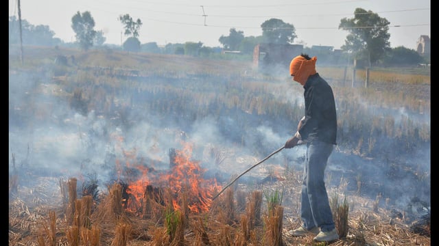 Paddy straw burning in Punjab and Haryana is one of the reasons behind the alarming spike in air pollution in the NCR in October and November.