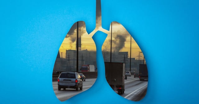 Scientists have identified how air pollution damages lung function – and potentially how to treat it