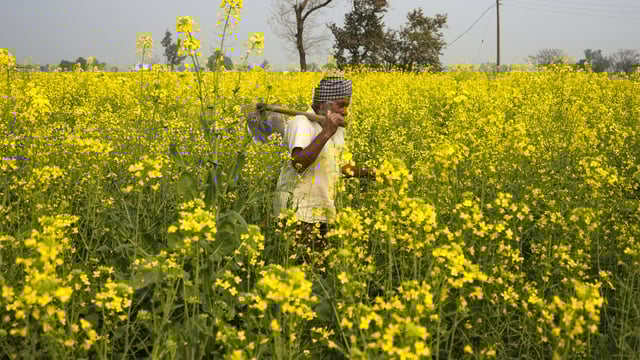 To receive the benefits of the PM KISAN scheme, farmers need to complete their eKYC, verify their land records and link their bank account with their Aadhaar card.