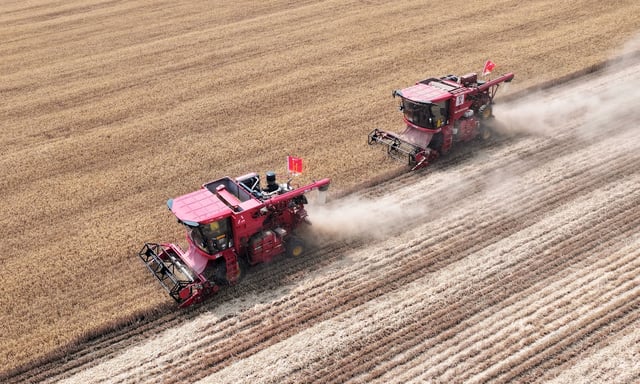Deux chercheurs chinois ont été arrêtés aux États-Unis. Ils sont suspectés d'avoir importé un champignon toxique, destructeur pour l'agriculture.