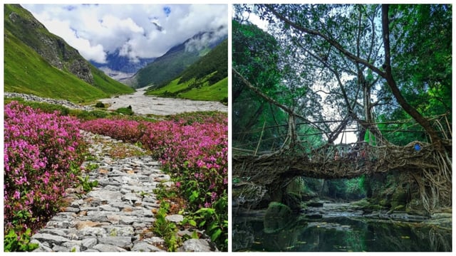 World Environment Day 2025: Valley Of Flowers (Left) to Living Roots Bridges of Meghalaya, natural wonders you misit visit once in your lifetime. 