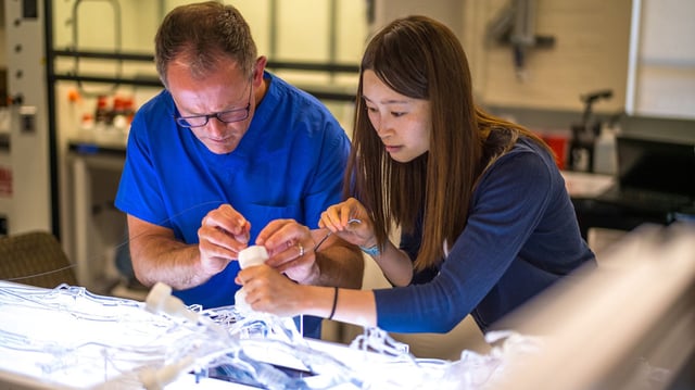 Stanford faculty Jeremy J. Heit and Renee Zhao demonstrate how to insert the milli-spinner using a life-sized model of the human circulatory system.