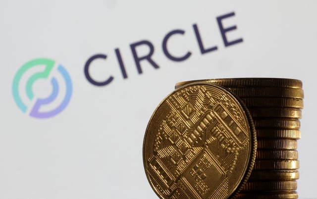 Circle logo is seen in this illustration taken March 31, 2023. REUTERS/Dado Ruvic/Illustration/File Photo