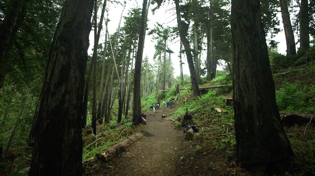 Volunteer workers built a nine mile trail through the Cotoni Coast Dairies National Monument in the Santa Cruz Mountains. The site and the first of nine miles of trail is scheduled to open to the public in August for the first time.