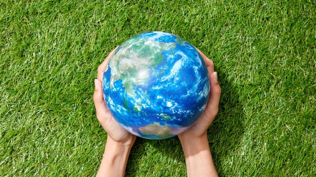 World Environment Day 2025: Wishes, Quotes, Messages To Share With Your Friends Image-Canva