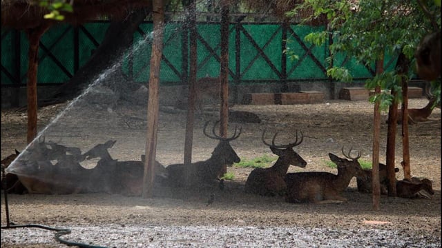 For visitors, the zoo is focusing on a combination of information and entertainment. (FILE)