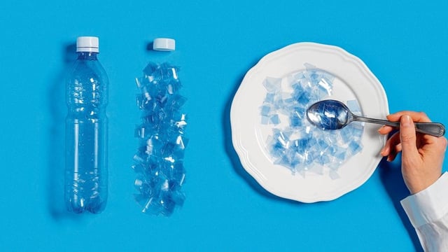 Microplastics enter the food chain through various pathways