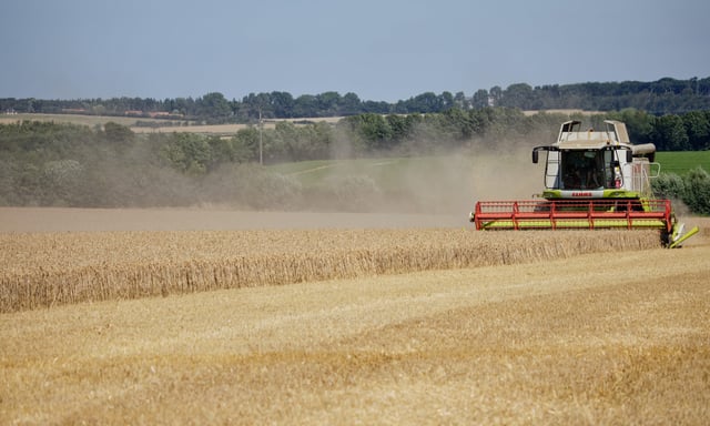 Présent dans les engrais phosphatés utilisés en agriculture, ce métal lourd contamine les céréales du petit déjeuner, le pain, les pâtes ou encore les pommes de terre.