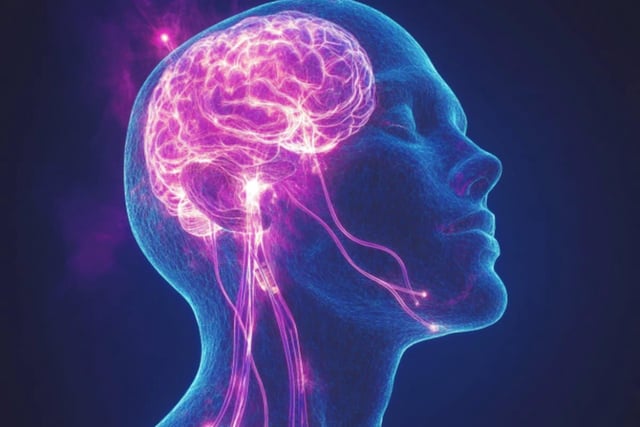 When applied to aged mice, the device restored CSF clearance to youthful levels, dramatically improving drainage without disrupting natural lymphatic contractions.Credit: Neuroscience News
