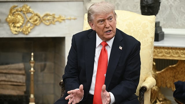 President Donald Trump speaks during a meeting with German Chancellor Friedrich Merz in the Oval Office of the White House on June 5, 2025. 