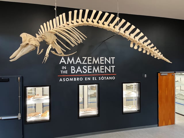 The entranceway to the new Paleo Center at the San Diego Museum of Natural History.