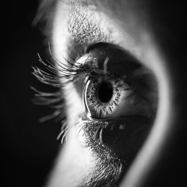 Black and white woman eye close up - macro detail.