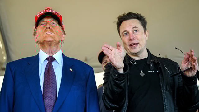 Elon Musk's net worth took a massive hit amid his feud with Donald Trump