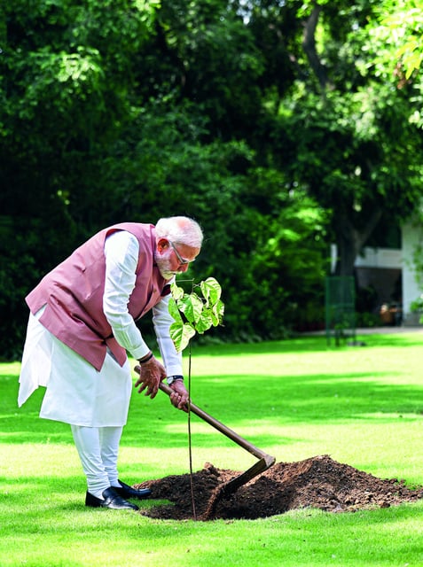 PM launches reforestation effort to revive Aravalli mountain range