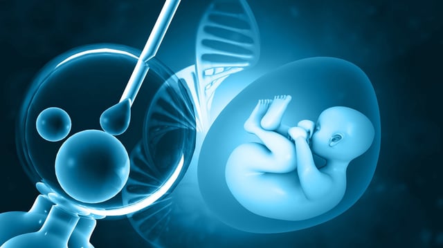 Vitro Fertilization. IVF and Human fetus with DNA strand. 3d illustration