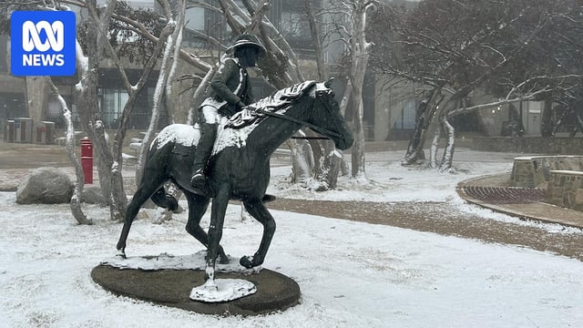 Man on horse statue in snow with leafless trees