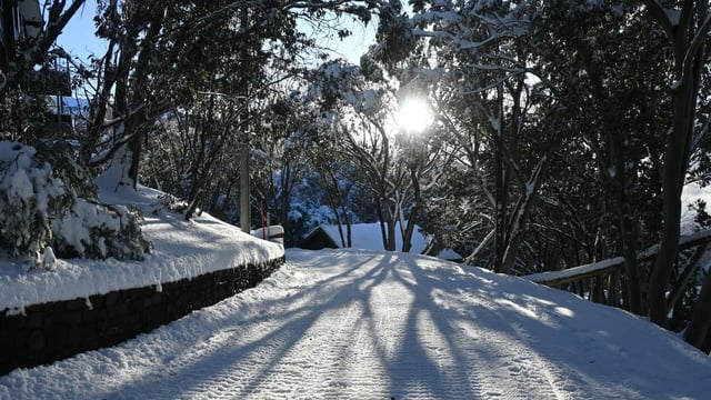 A decent dusting of snow is expected to hit Australia's alpine region, but wet and windy conditions could make snow sports a challenge.