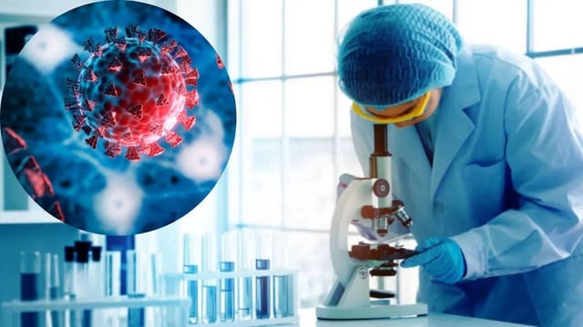 New COVID-19-like Chinese Virus Is Just a Small Step Away from Triggering a Pandemic, Scientists Warn