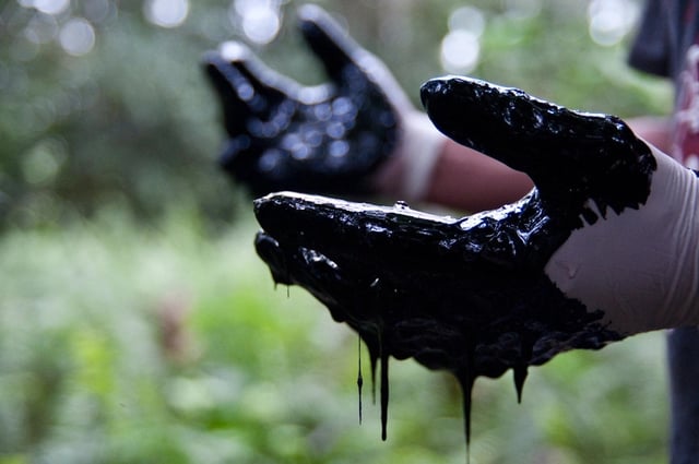 Eighty-nine percent of the oil coming out of the Amazon comes from Ecuador. The image shows an oil spill in an Ecuadorian cocoa cultivation area. Photo by Amazon Watch.