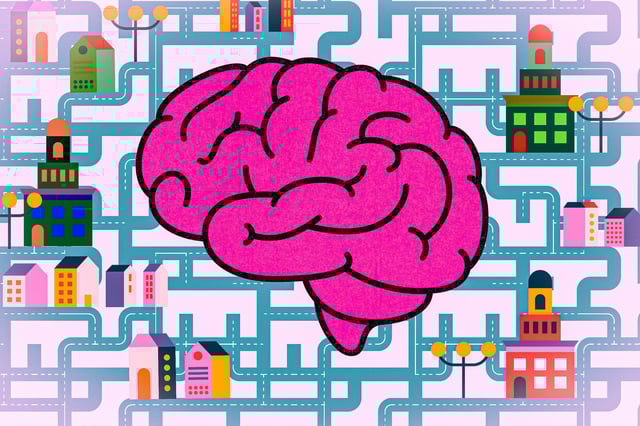 New research finds a brain region critical for navigation uses distinct neural activity patterns to encode multiple hypotheses that help distinguish between ambiguous landmarks.
