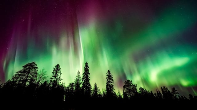 Auroras