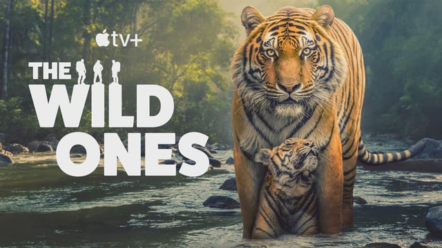 "The Wild Ones" title might describe both the filmmakers and the animals they stalk with good intentions.