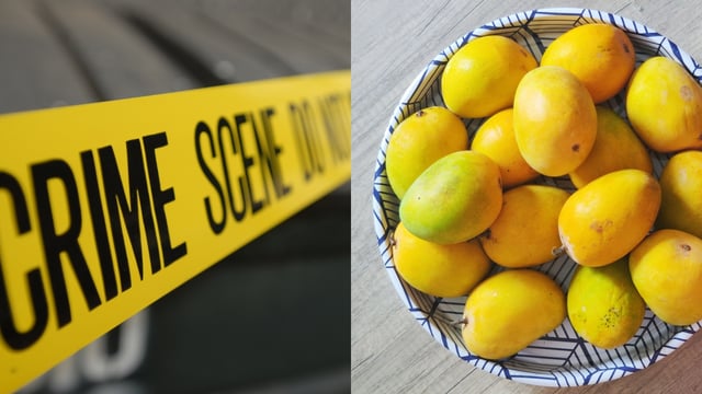 5-yr-old girl 'raped' after being lured with mango (Representational image from Canva)