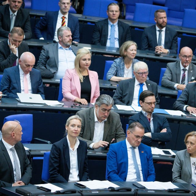 Die AfD-Fraktion im Bundestag