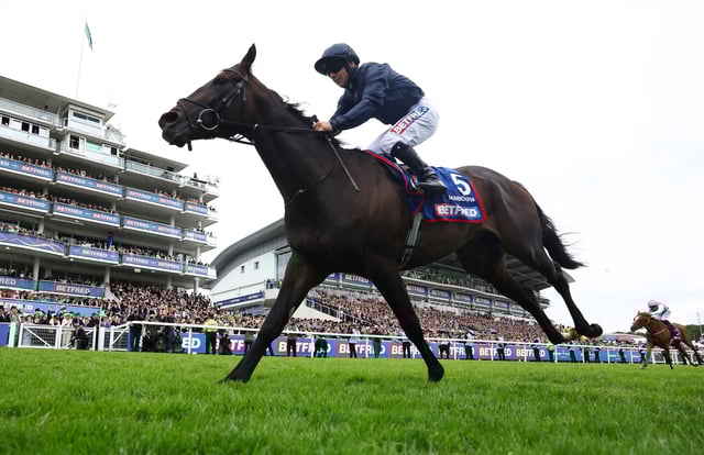 Horse Racing - The Epsom Derby - Epsom Downs Racecourse, Surrey, Britain - June 7, 2025 Wayne Lordan riding Lambourn on his way to winning the 15:30 Betfred Derby Action Images via Reuters/Matthew Childs