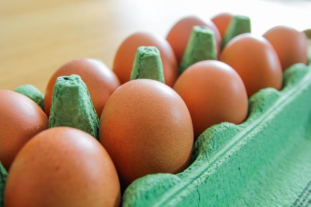 Eggs in a green container