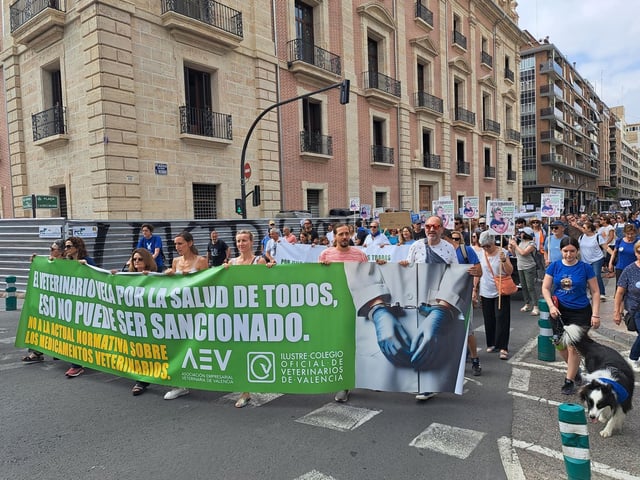 Protesta por el centro este domingo.