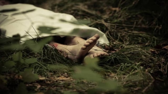 Police Cracks Bengaluru Suitcase Murder Mystery: 7 Accused Arrested From Bihar | Image: Shutterstock