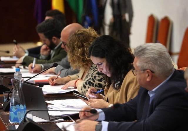 La diputada socialista Desirée Benavides consulta el móvil durante un Pleno de la Diputación