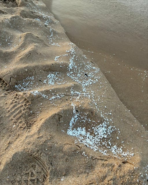 La sustancia aparecida en las playas del sur de la Safor.