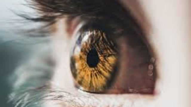 Sam Altman's eye-scanning orb lands in UK to fight Deepfakes and reward you with Crypto