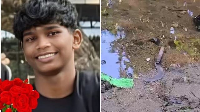 Illegal electric fence electrocutes 15-year-old to death in Kerala, injures two