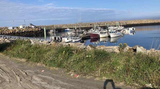 Commercial fishermen allege the Sipekne’katik First Nation has pursued a large lobster fishery outside the commercial season from the Saulnierville wharf in southwestern Nova Scotia. 