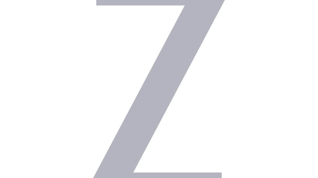New Zee logo 2025