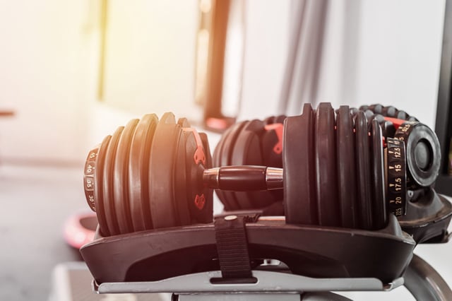 Millions of BowFlex adjustable dumbbells have been recalled;