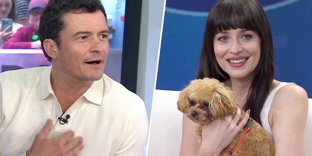 Orlando Bloom's dog Biggie Smalls on the TODAY show on June 9, 2025.