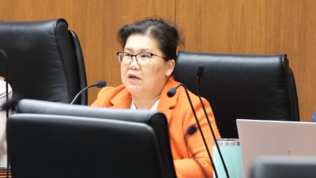 Kaohly Vang Her