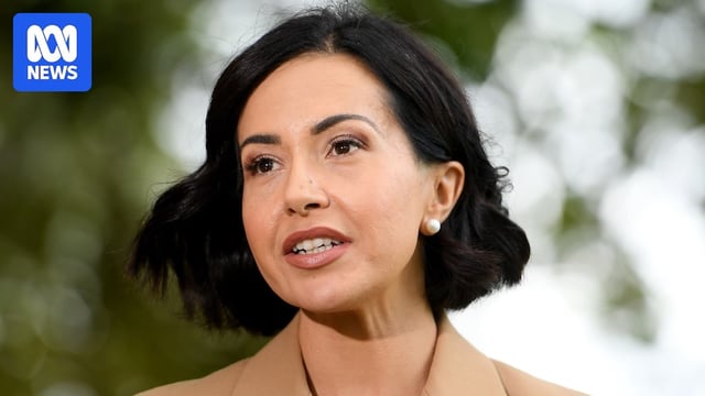 a woman speaking to the media outdoors
