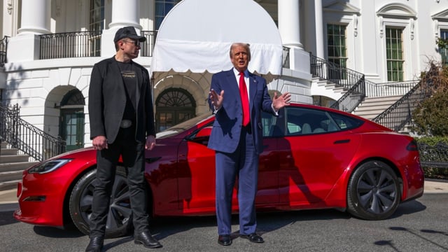 Did Trump Ban Tesla In The US After Feud With Musk?