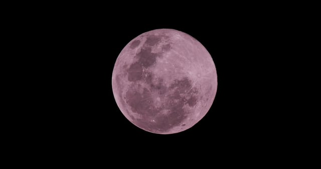 Luna llena rosa.