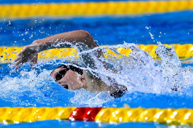 McIntosh has become one of the most dominant forces in swimming over the last 18 months.